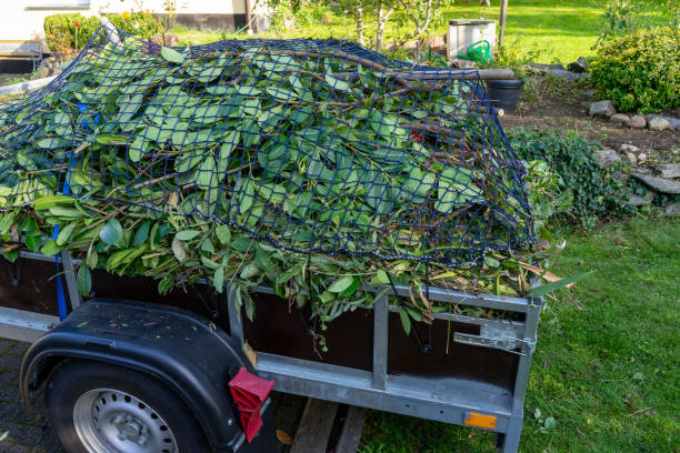 Best Moving and Downsizing Cleanouts  in Mckee City, NJ